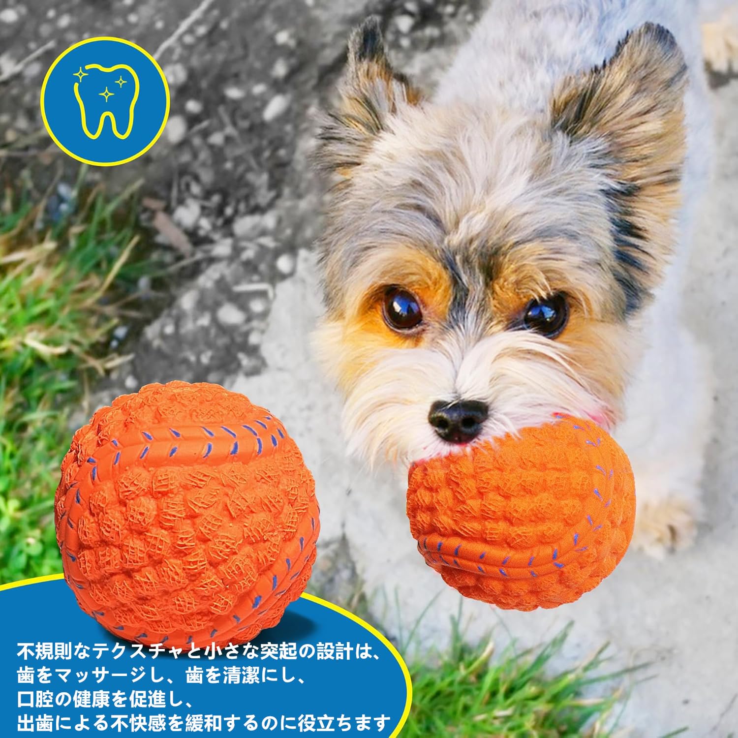 噛むおもちゃ 犬用 歯磨きボール 噛むボール 運動不足やストレス解消 猫犬遊び用 楽天市場】犬 おもちゃ 噛むおもちゃ ボール おやつ ペット用